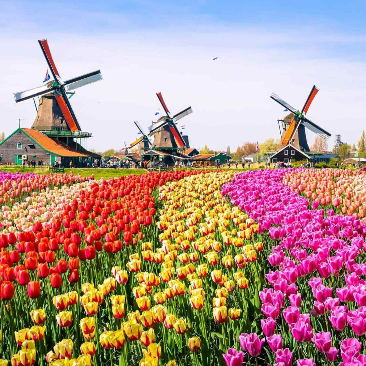 https://gateways.travelagencybpo.com/wp-content/uploads/2018/09/destination-netherlands-01-1280x1280.jpg