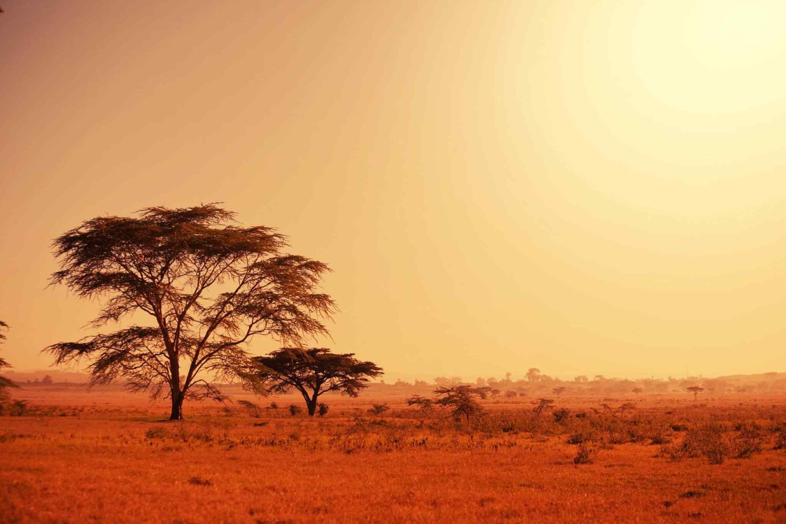 https://gateways.travelagencybpo.com/wp-content/uploads/2018/09/tour-africa-02.jpg