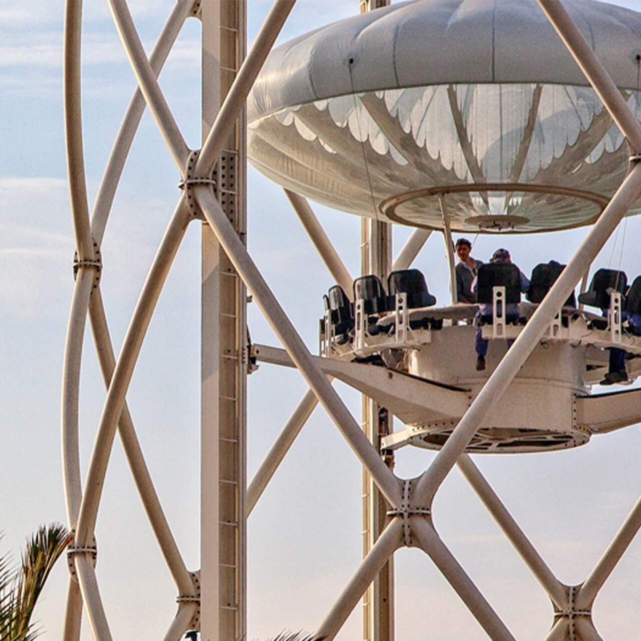 Flying cup Dubai