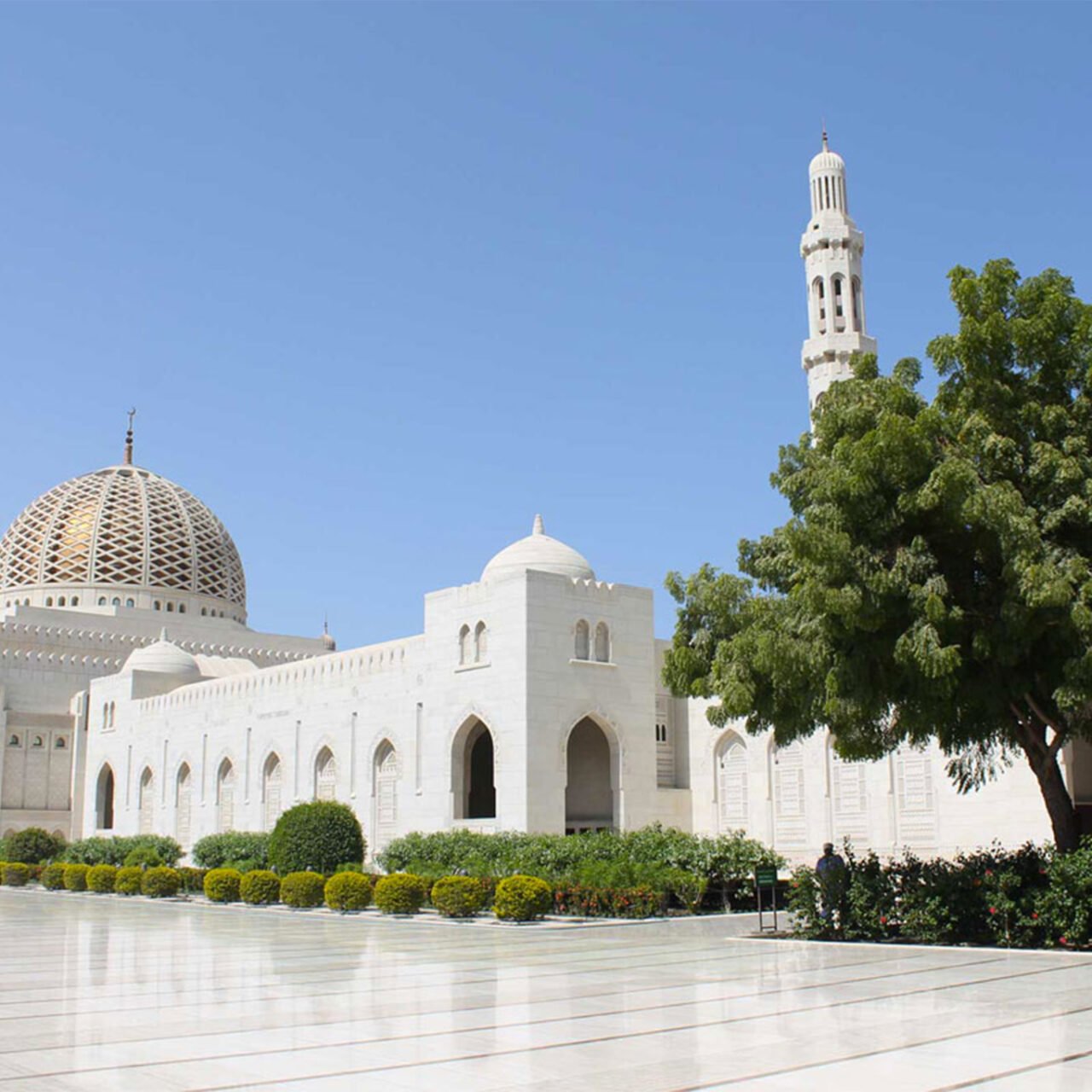 Mystical Muscat