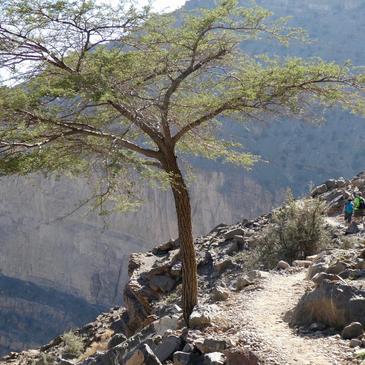 Oman’s Grand Canyon