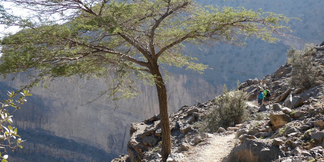 Oman’s Grand Canyon