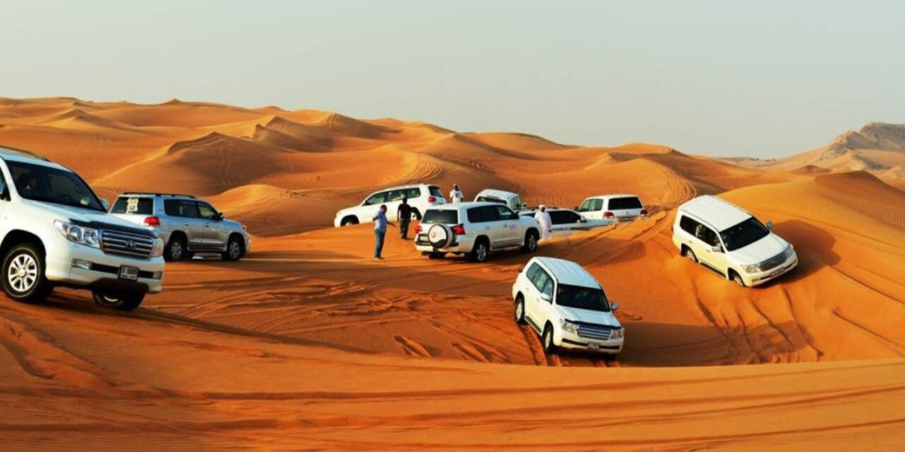 Premium desert safari