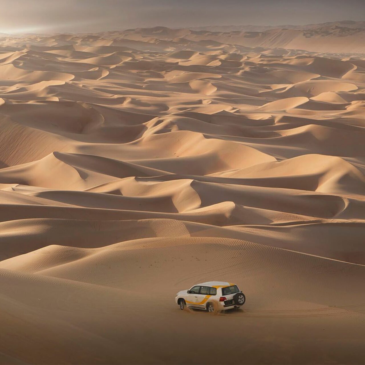 Wahiba wilderness