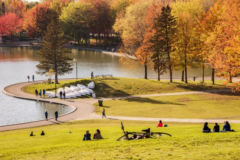 Explore Montreal and Quebec
